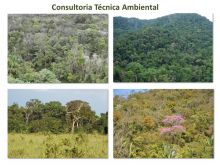 Consultoria Consultoria Ambiental Fernandópolis - SP